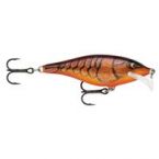 Scatter Rap Shad 07 DCW
